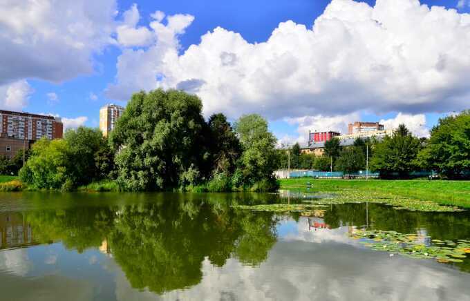 В Москве мужчина утонул в пруду, спасаясь от жары