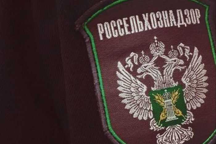 Семейный бизнес чиновников получает контракты от государства